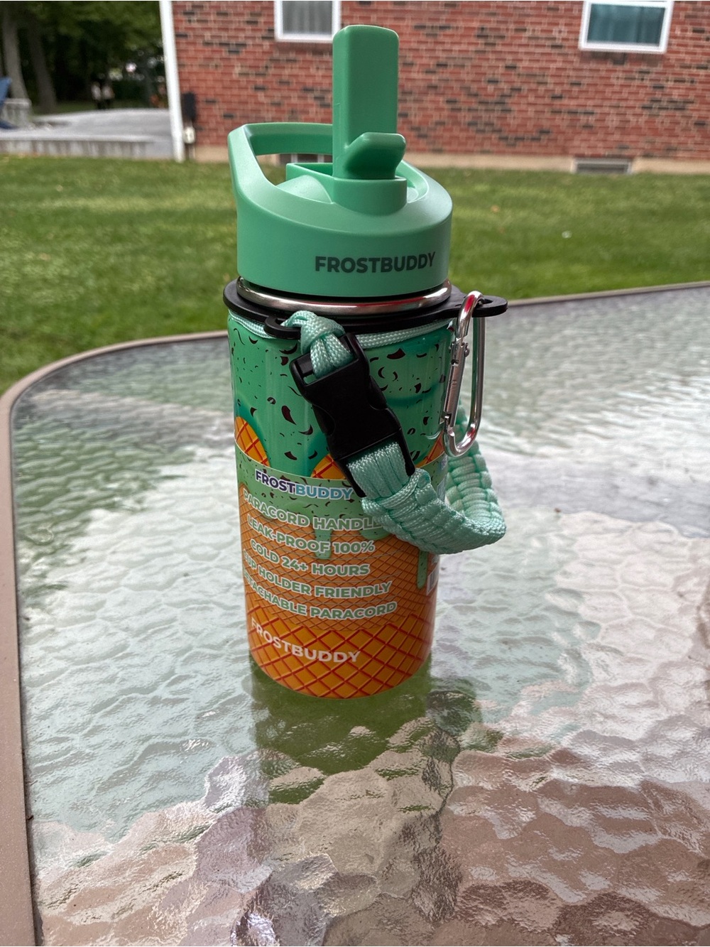 Mint Green FROSTBUDDY ice cream Insulated Water Bottle with Paracord Handle